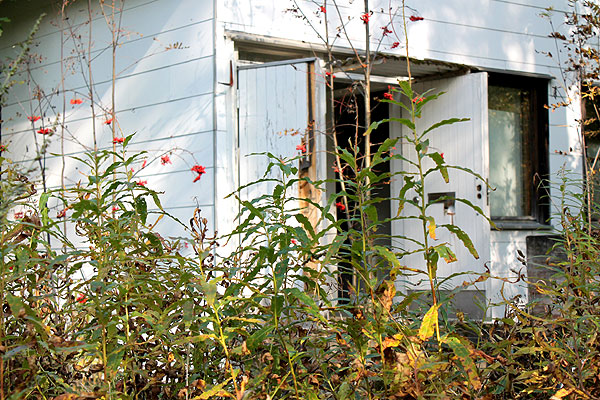 hylätyt talot, autiotalo