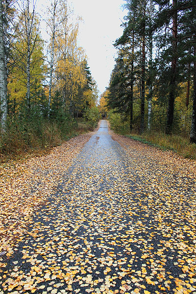 hylätyt talot -muistojen retki