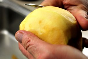 Kotoista lanttukukkoa. Voimapuu