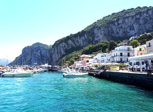 Maisemamatkalla Napolinlahdella osa 2, Voimapuu