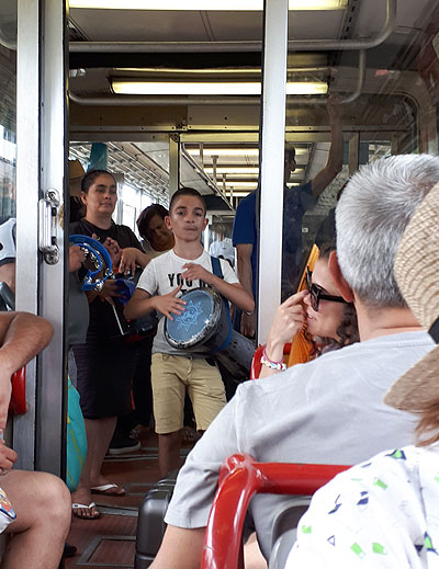 Maisemamatkalla Napolinlahdella, Voimapuu