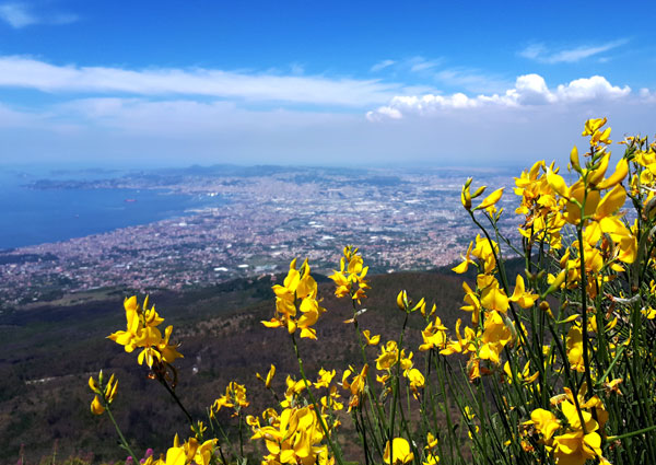 vesuvius_napoli – kopio
