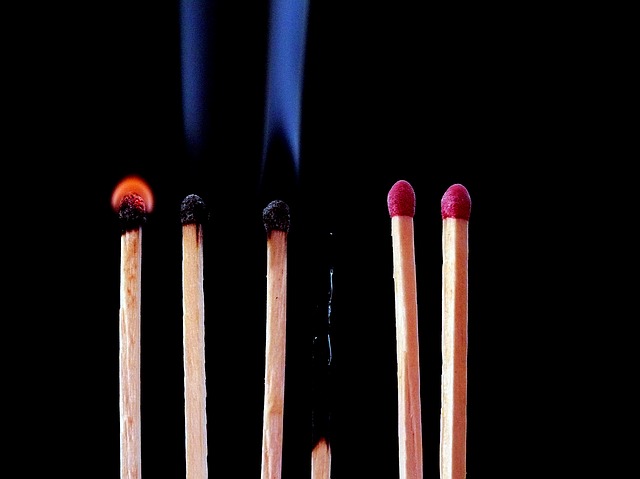 Työuupumuksen juurilla, Voimapuu