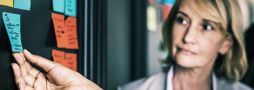 Työuupumuksen juurilla, Voimapuu