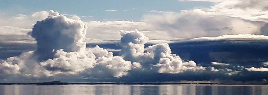 Surun hetki, Voimapuu