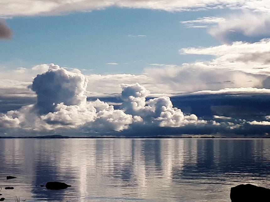 Surun hetki, Voimapuu