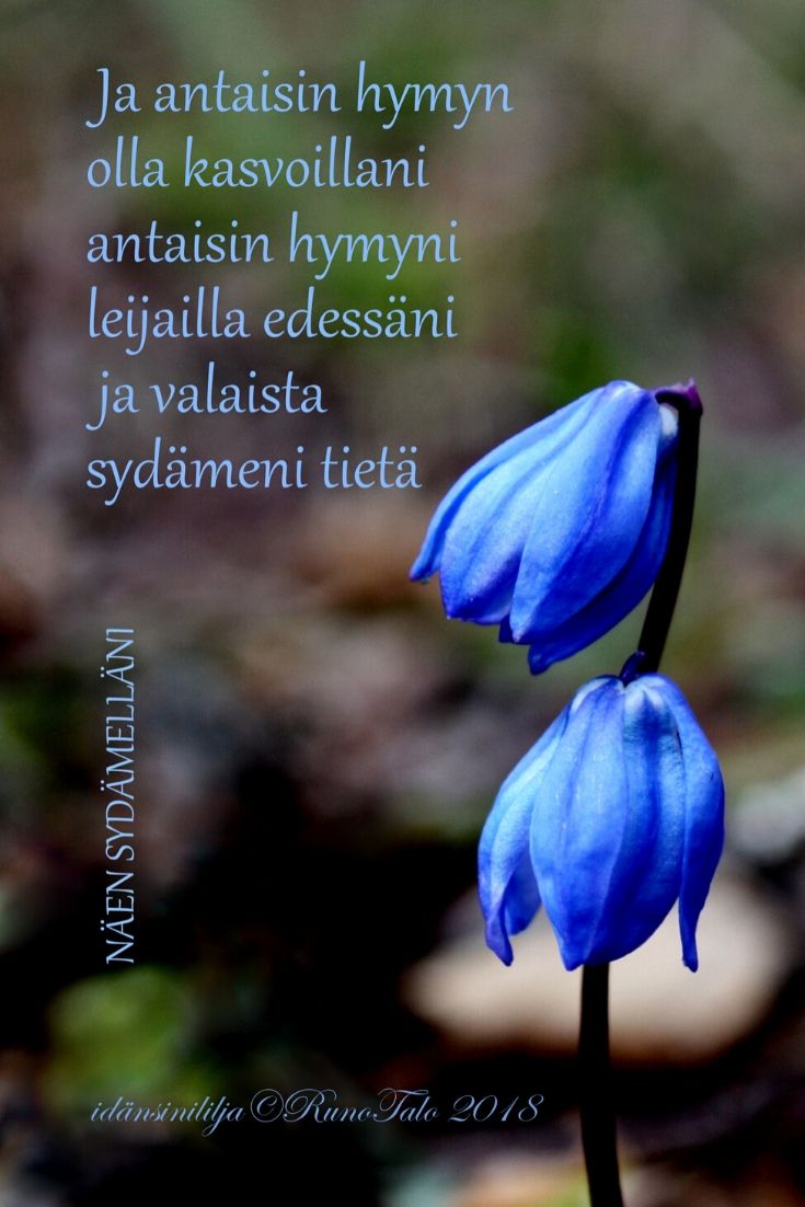 Runotalon voimakortti Ja antaisin hymyn olla kasvoillani