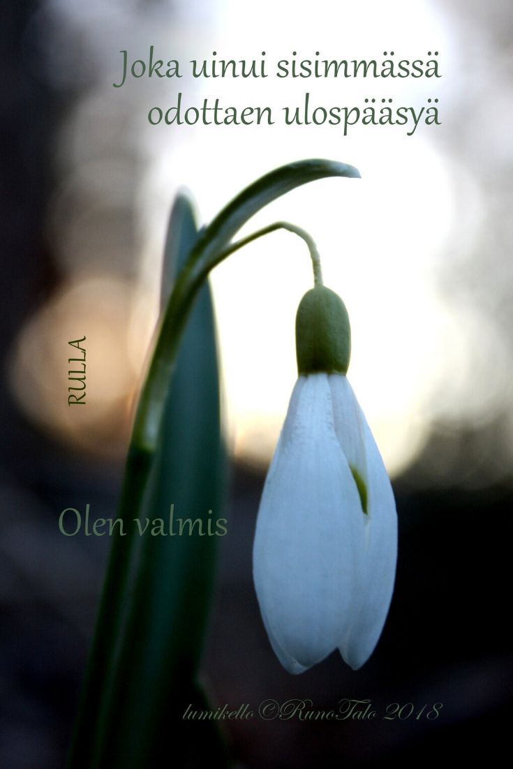 Runotalon voimakortti Joka uinui sisimmässä odottaen