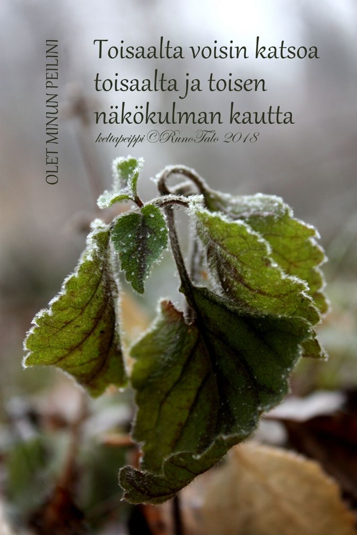 Runotalon voimakortti Toisaalta voisin katsoa toisaalta