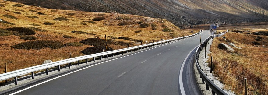 Muutoksen tiellä - miten asetat tavoitteita, Voimapuu