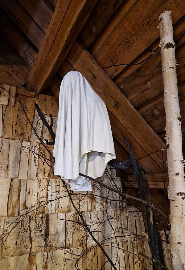 Möhkön virta taidenäyttely: Rauha. Voimapuu