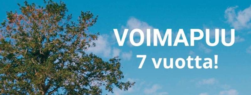 Voimapuu 7 vuotta