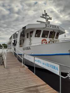 Savonlinnan sisävesilaiva Elviira, Voimapuu