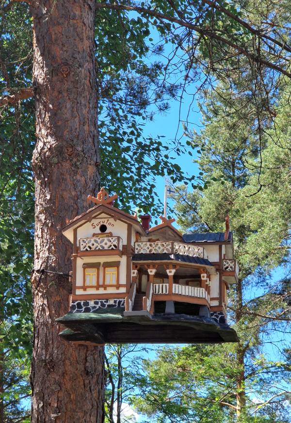 Taidelinnunpönttö Suruton, Savonlinna. Voimapuu