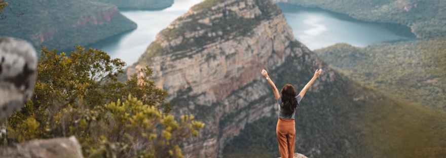 miten pääastä ulos eristäytumisen kierteestä, Voimapuu