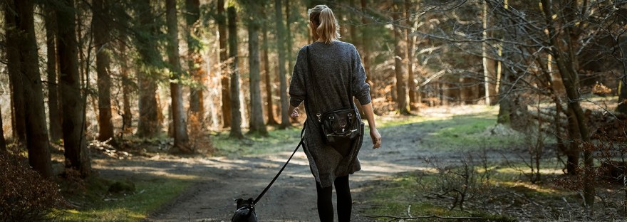 Mitä palautuminen on? kävely metsässä koiran kanssa