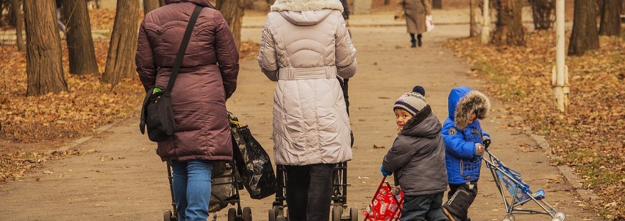 kävelyllä puistossa, Voimapuu