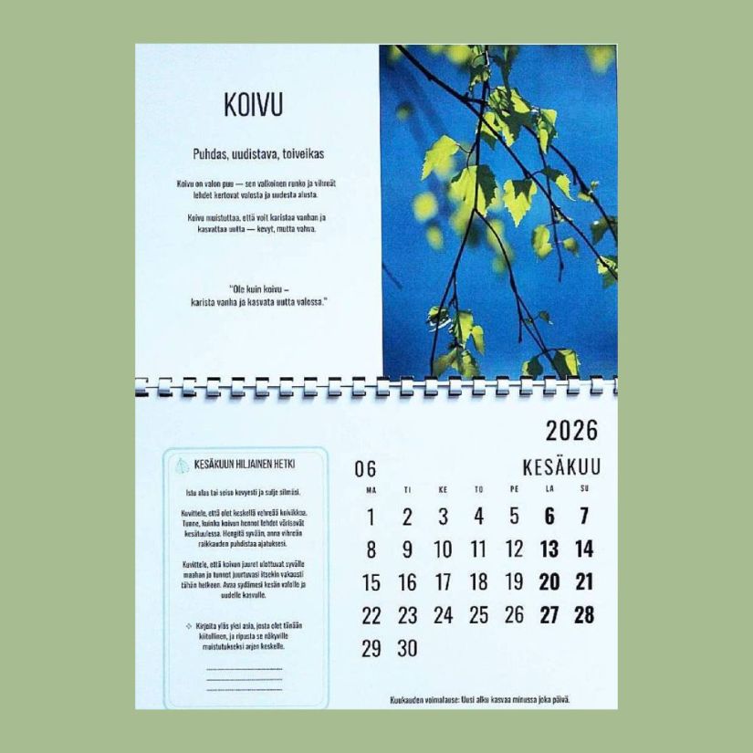 Vuoden voimapolku, Voimapuun kalenteri 2026, aukeama