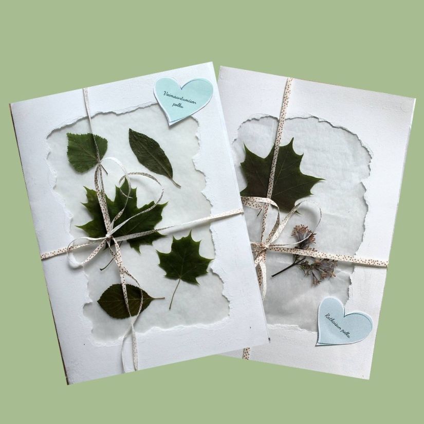 Voimapuun polut - oivallusten matka. 2 osainen hyvinvointipaketti