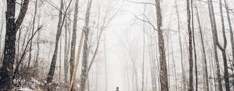 ihminen kävelee yksin metsätietä sumussa